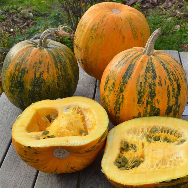 Тыква Апетит (голосемянная)